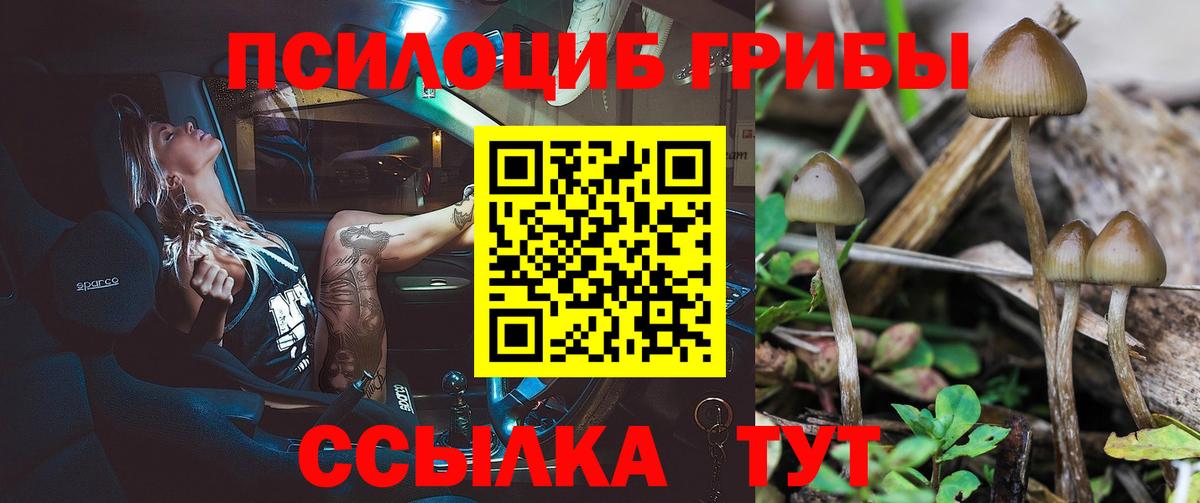 Галлюциногенные грибы Psilocybine cubensis  Вход с VPN  продажа наркотиков  Кузнецк 